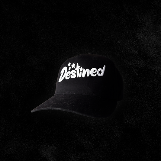 Destined Logo Embroidered Hat